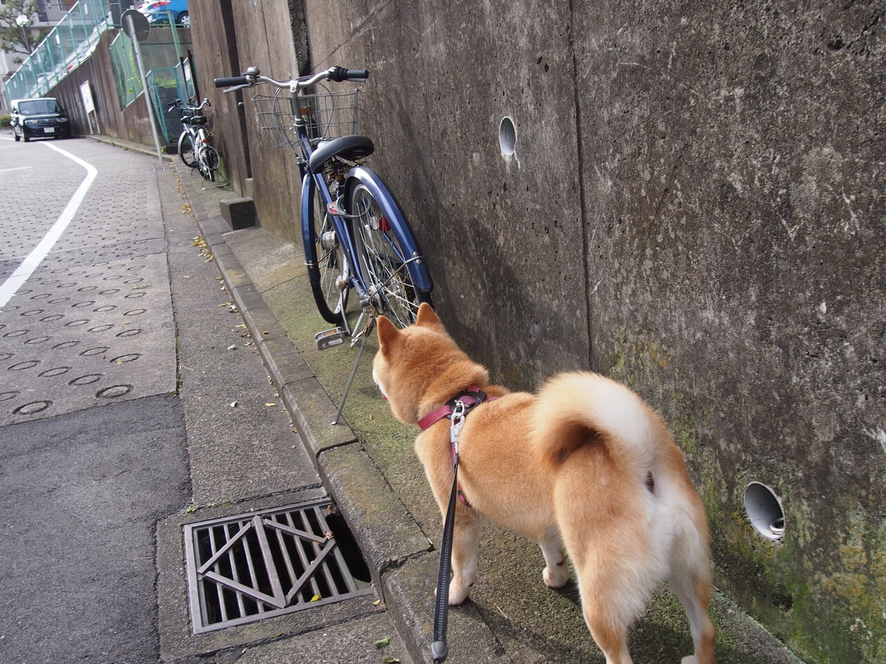 JiuyouAPP下载-联赛精彩统计：破纪录的瞬间，比赛破纪录