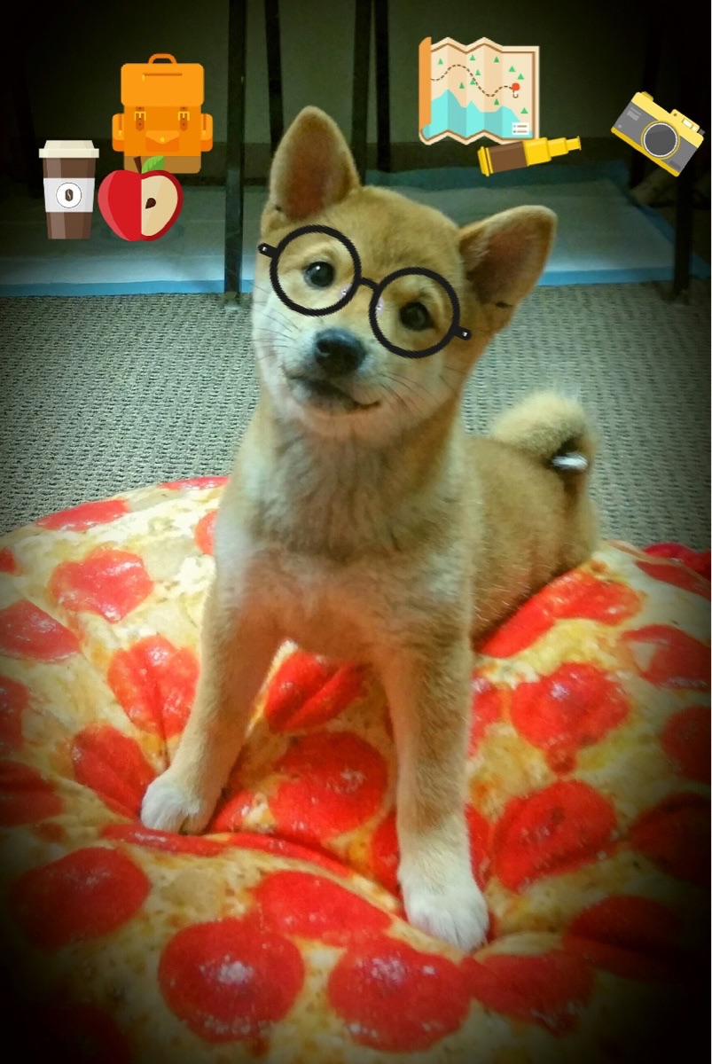 JIU YOU GAME-逆风而起：那些用坚韧不拔成就传奇的队伍，逆风执炬