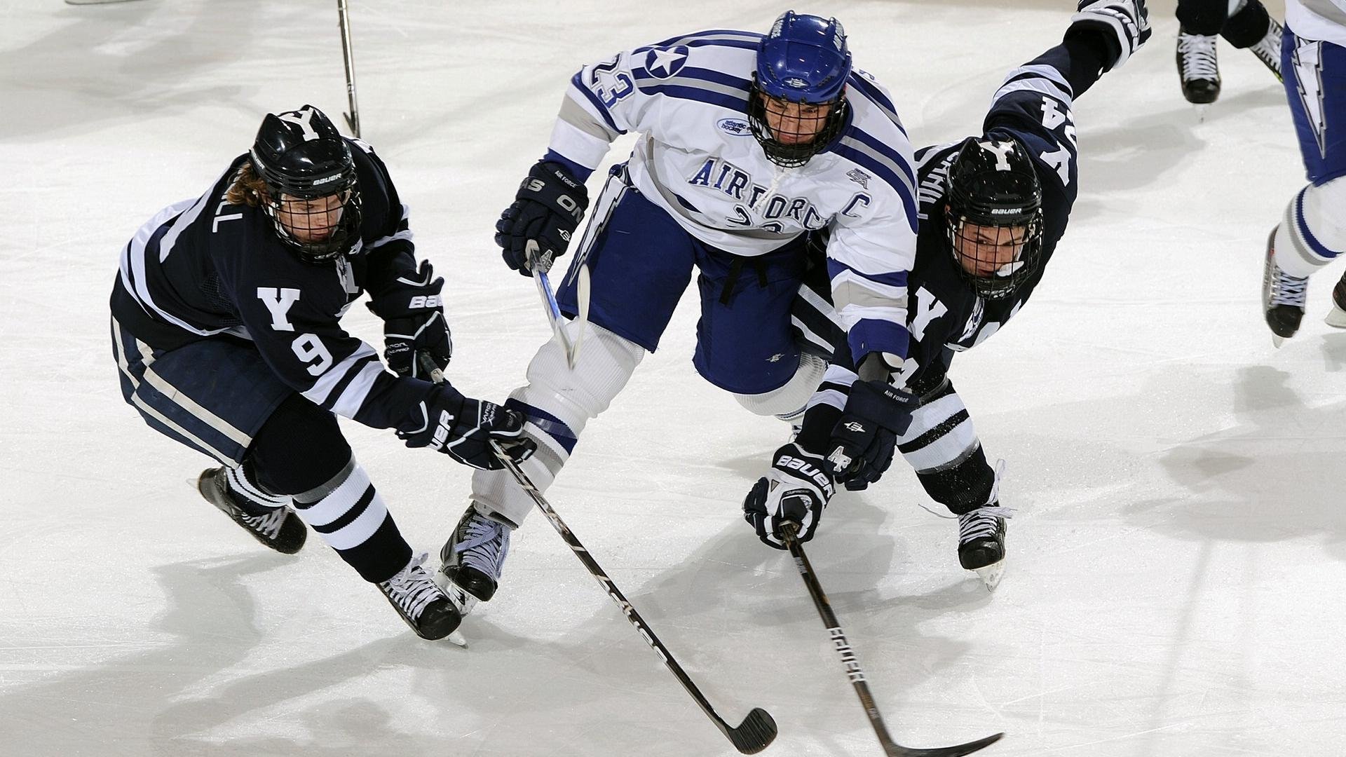 阿丽娜·萨巴伦卡赢得2024年WTA年终总决赛