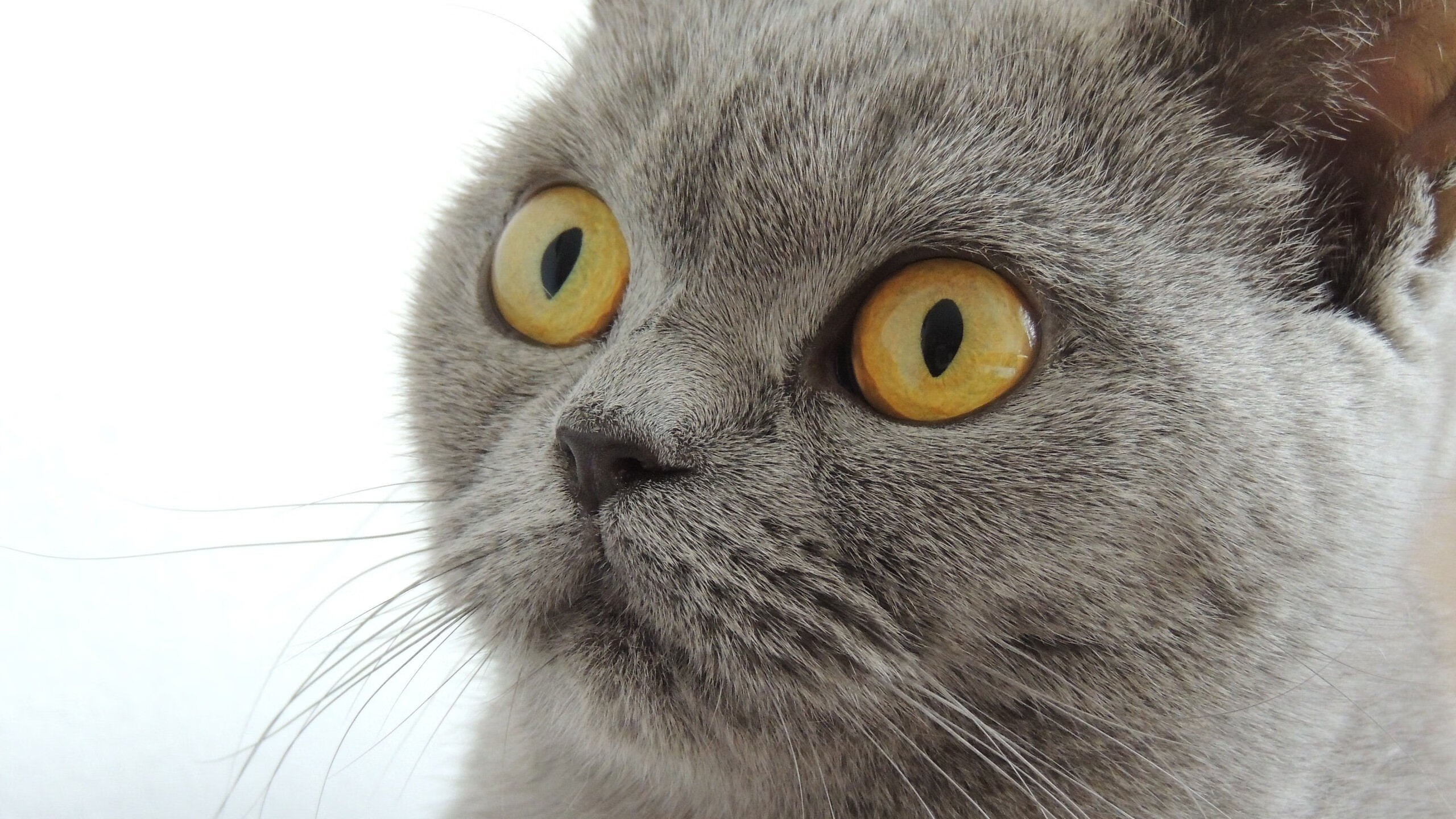 FaZe Clan跨界音乐与LOL联动宣传