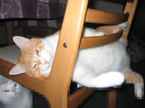 九游游戏中心-KPL季后赛赛程安排公布，kpl 季后赛赛程