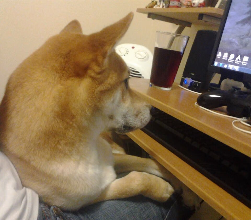 九游娱乐官网 (jiuyou)-是否应推动球员参与联合国可持续发展目标，是否应推动球员参与联合国可持续发展目标的实现