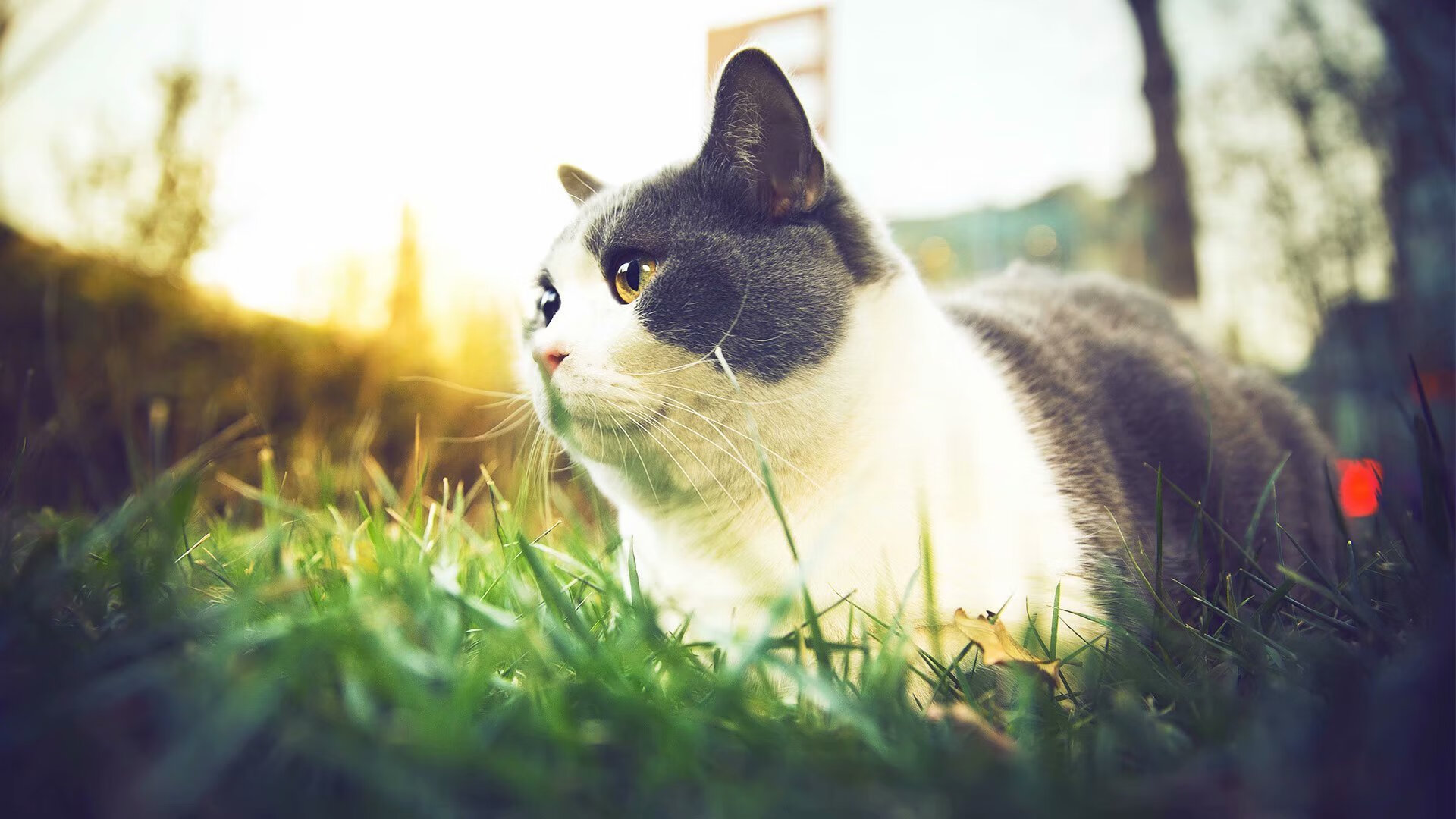 九游下载中心-比赛中球队表现抢眼，赢得广大支持，面对这么多的困难,球队怎么能赢得比赛呢_