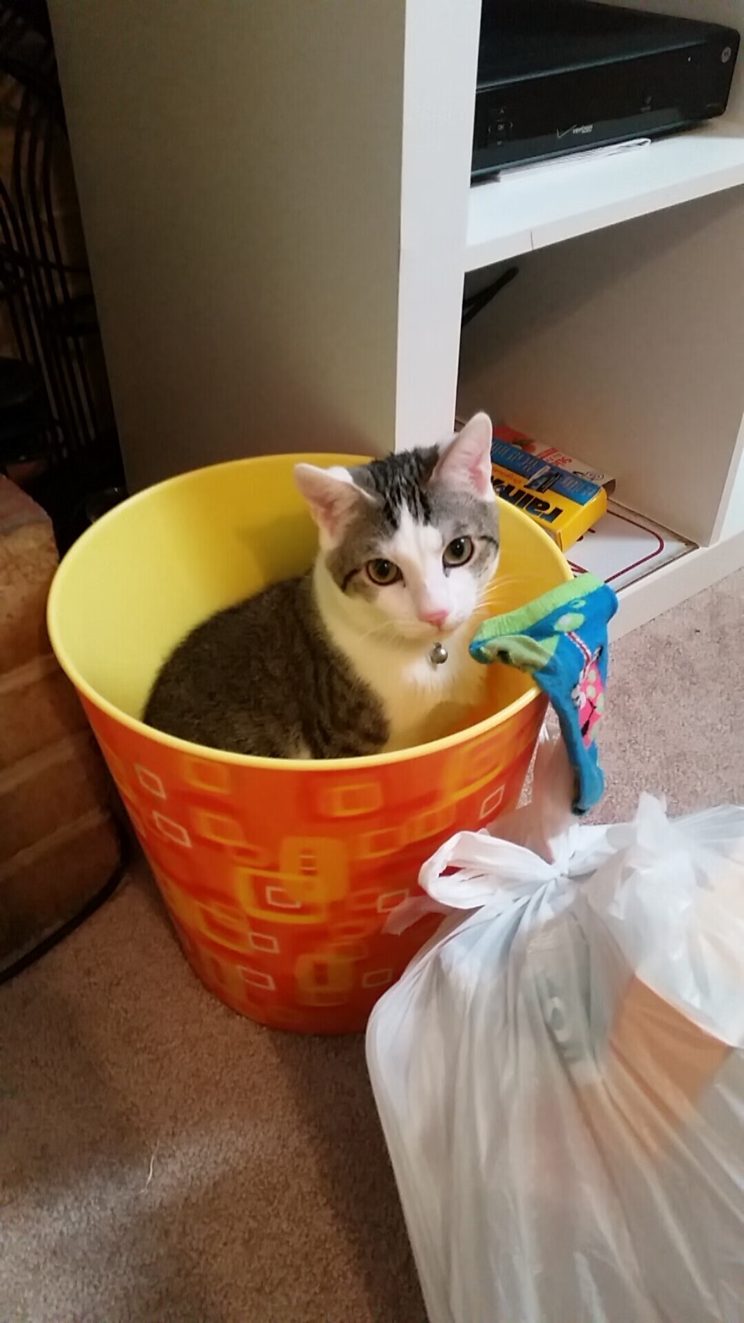 九游娱乐(jiuyou)官网-澳洲球员获得最佳射手奖，刷新个人记录，澳洲足球名单