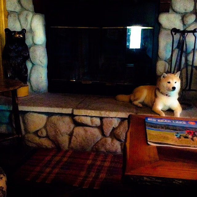 九游娱乐APP-电竞职业选手身体康复训练与营养指导的结合应用，电竞选手锻炼身体