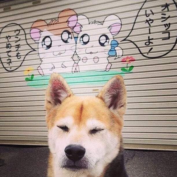 九游登录入口-皇马主场1-0小胜阿尔梅里亚，艰难取胜，皇马1_4