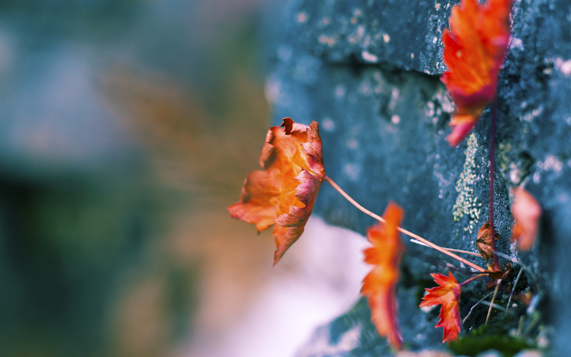 九游app官网下载-贝尼亚索尔-险胜卡利亚里，巴塞尔制胜球，贝尔 巴萨