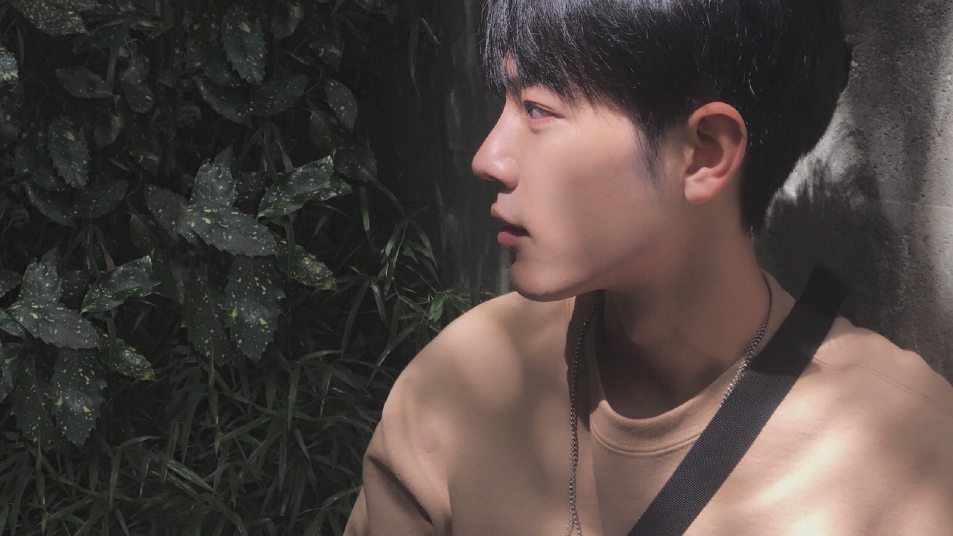 九游娱乐-德国马术协会与欧洲马术协会签署合作协议，共同举办国际赛事。