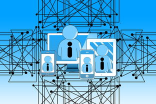 九游游戏中心官网-中国青少年篮球发展政策实施与推广策略，青少年篮球发展现状及对策研究