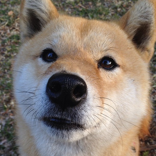 九游娱乐(jiuyou)官方网站-西甲球队热区密度图调整防守站位的实践探讨