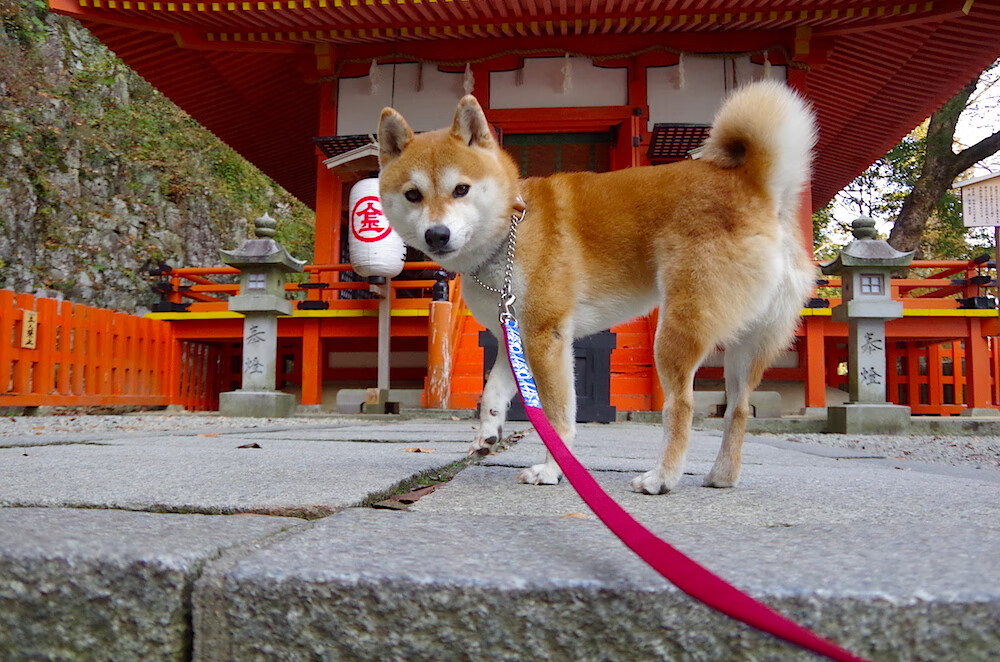 世界大学生运动会倒计时启动仪式举行