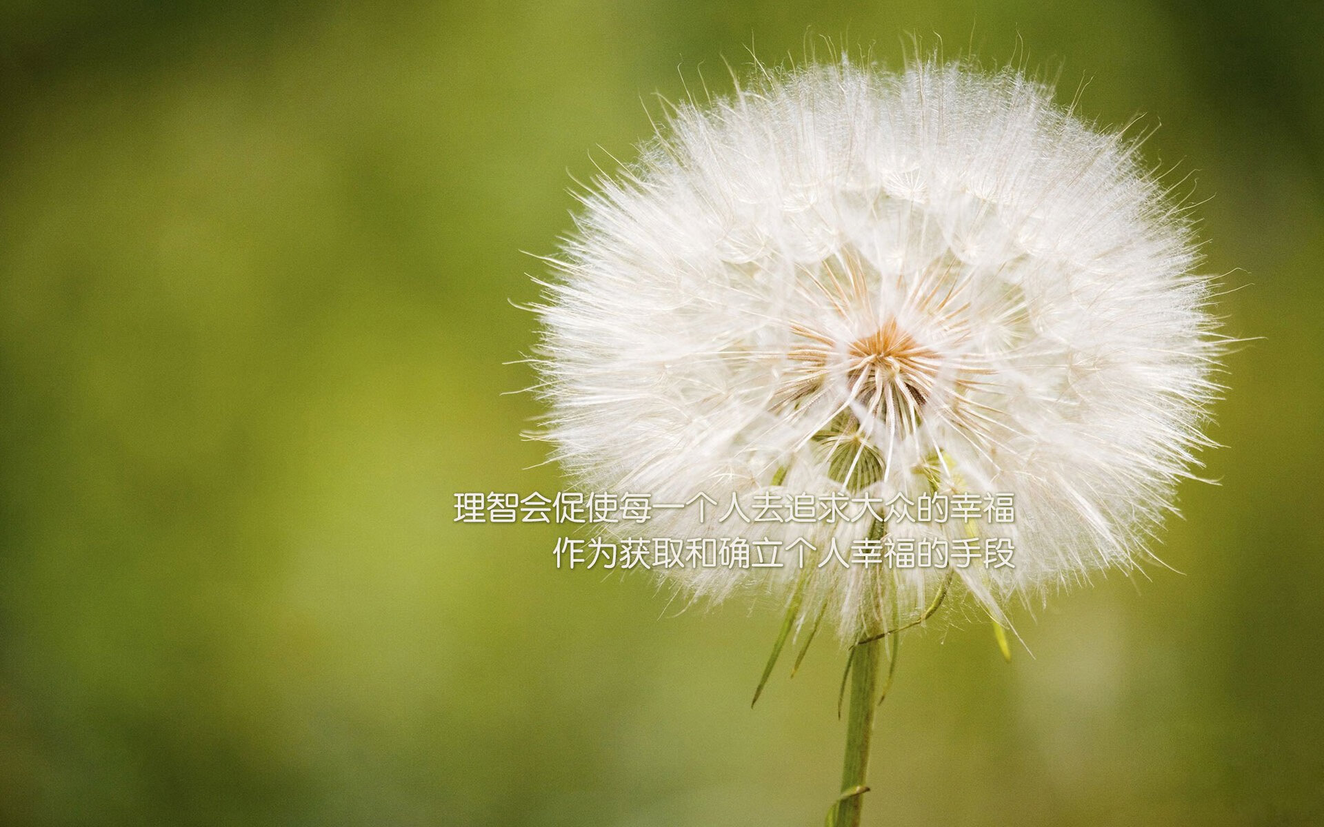 九游网-中国男篮加强身体对抗 提升比赛硬度，中国男篮很弱吗