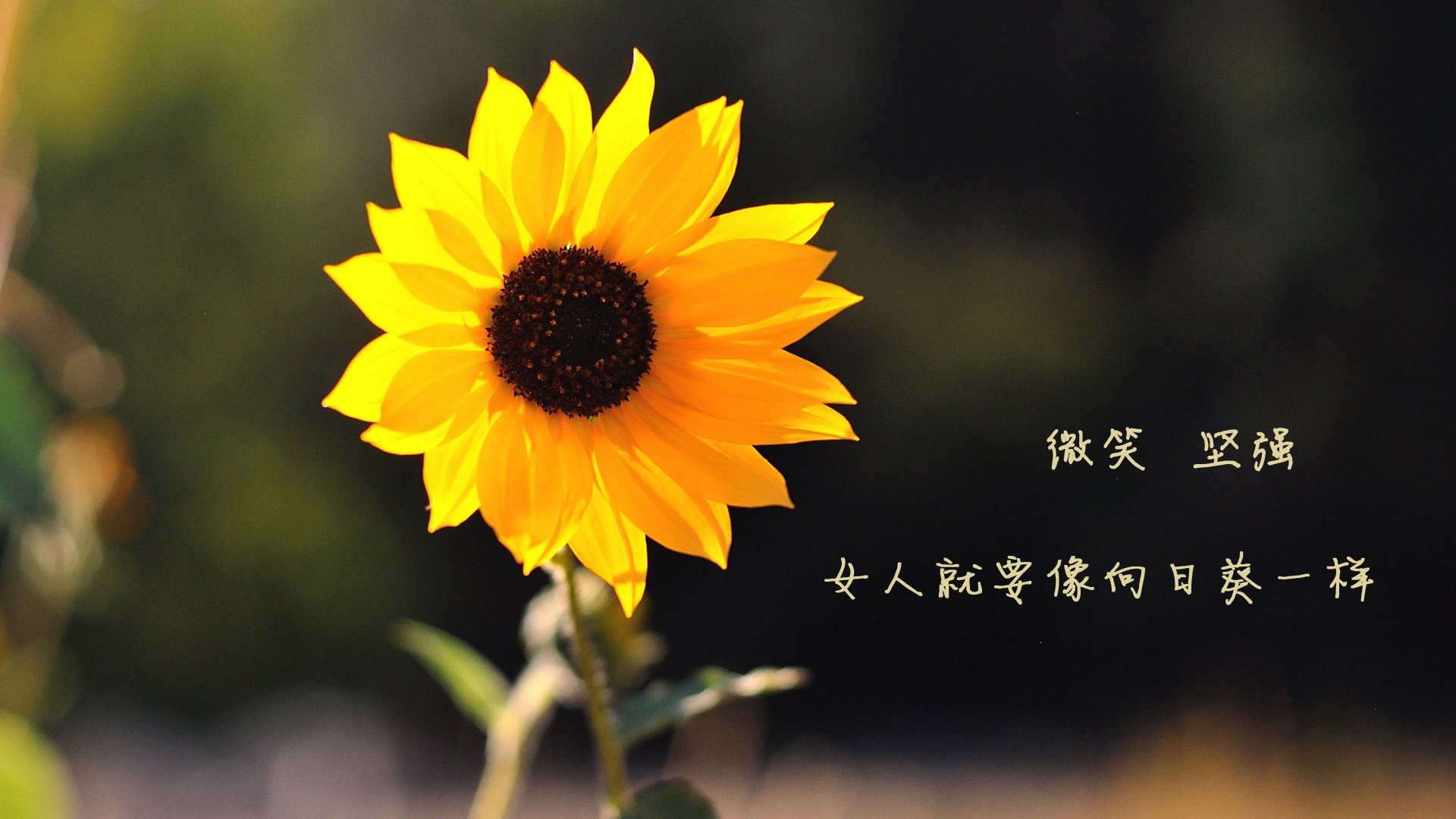 九游jiuyou-中超联赛国足惨败 球迷要求加强防线，中超联赛国足惨败 球迷要求加强防线防守