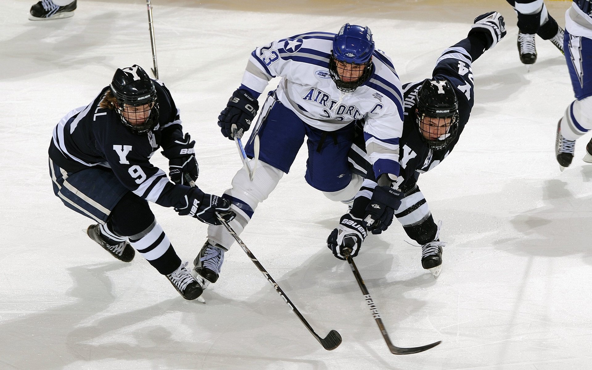 体育新闻中心主办体育文化创新传播论坛，体育行业新闻