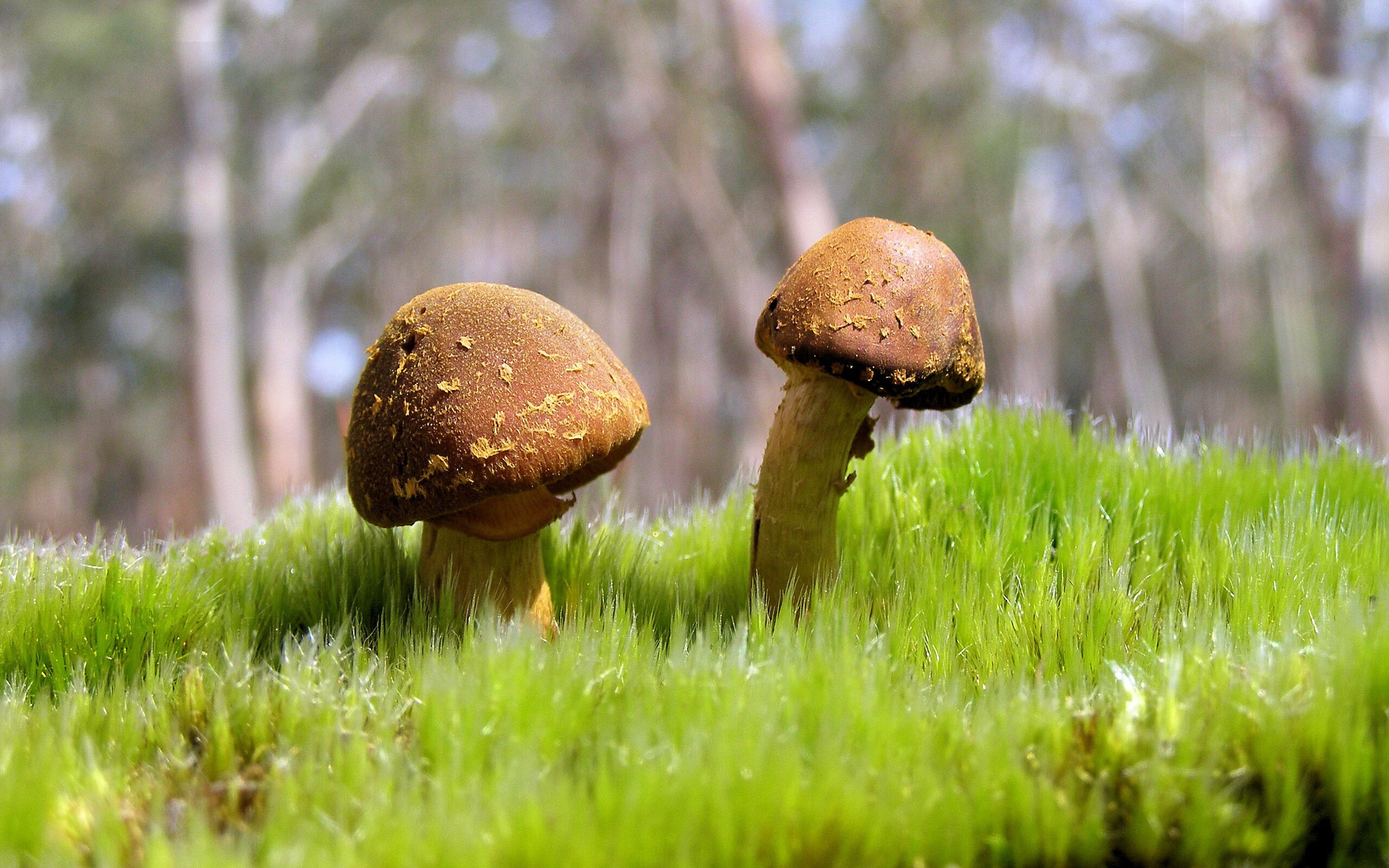 体能与技术动作效率数据关系,体能与运动技能的关系