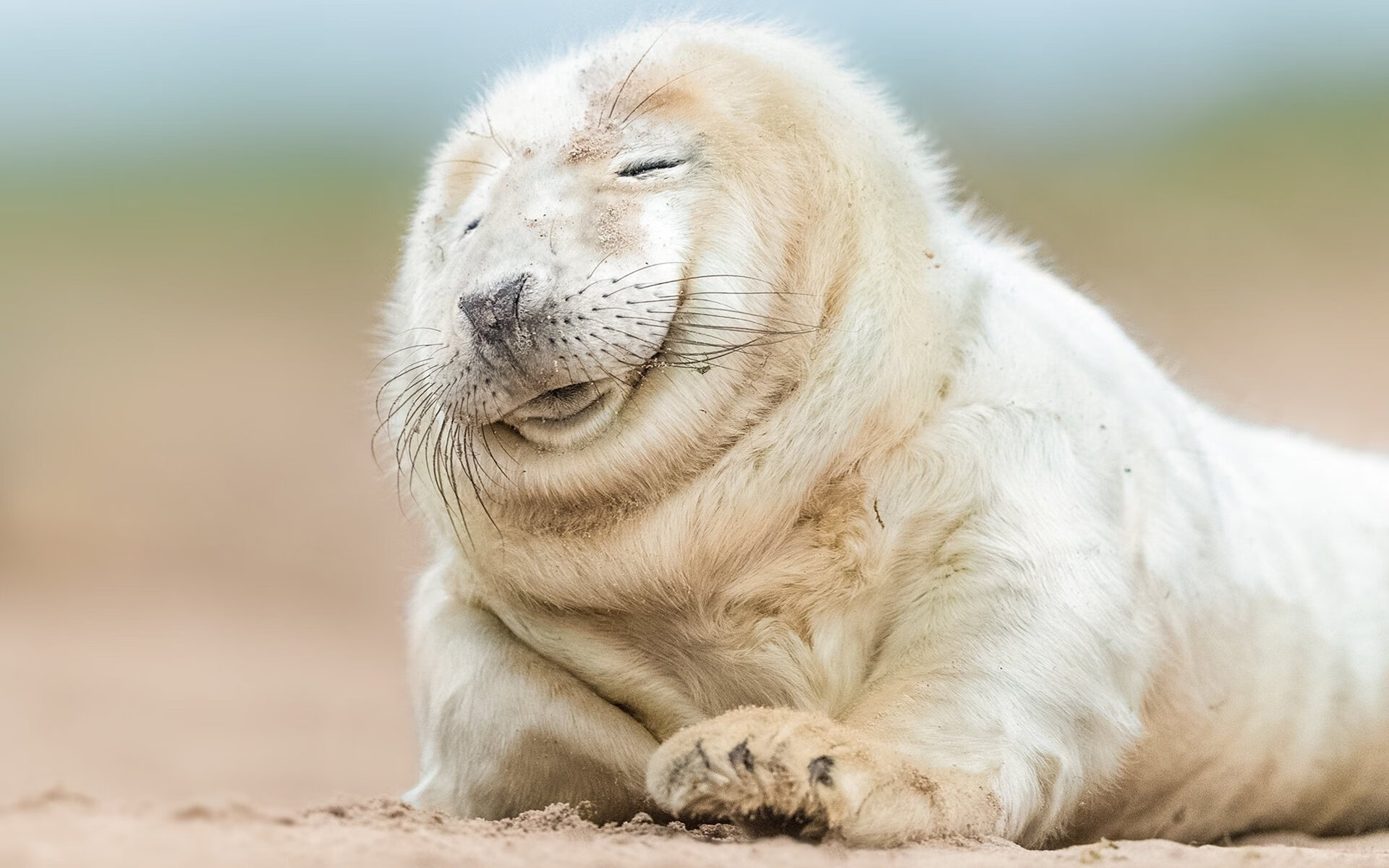 Jiuyou-都灵主场发挥稳定持续累积积分，都灵队主场