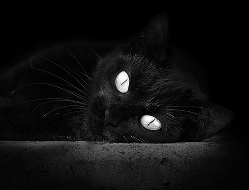 JIU YOU GAME-中国男篮核心阵容轮换策略逐渐清晰，中国男篮阵容有哪些