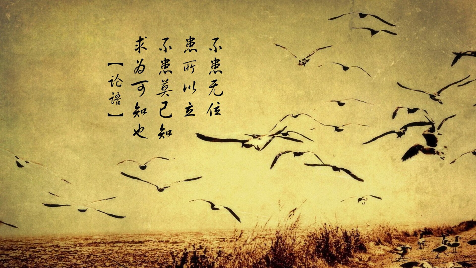 九游官网pc-德甲激烈角逐：精彩攻防连续上演，德甲名场面