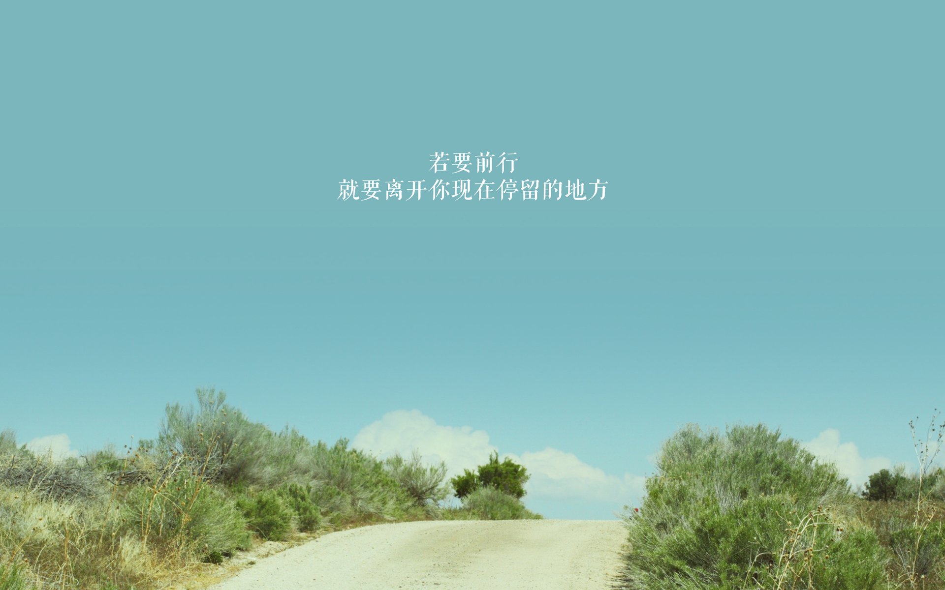 九游游戏中心-李娜与老公出席公益慈善拍卖会，李娜经历