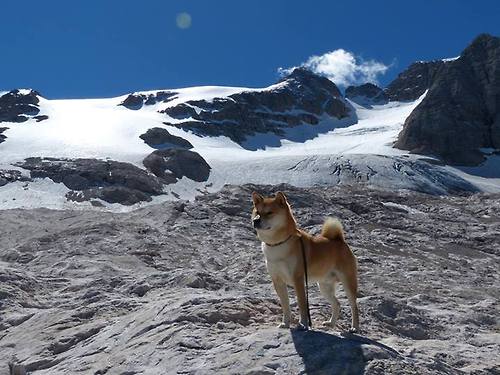 篮网末节表现不佳被对手完成逆转，篮网下场