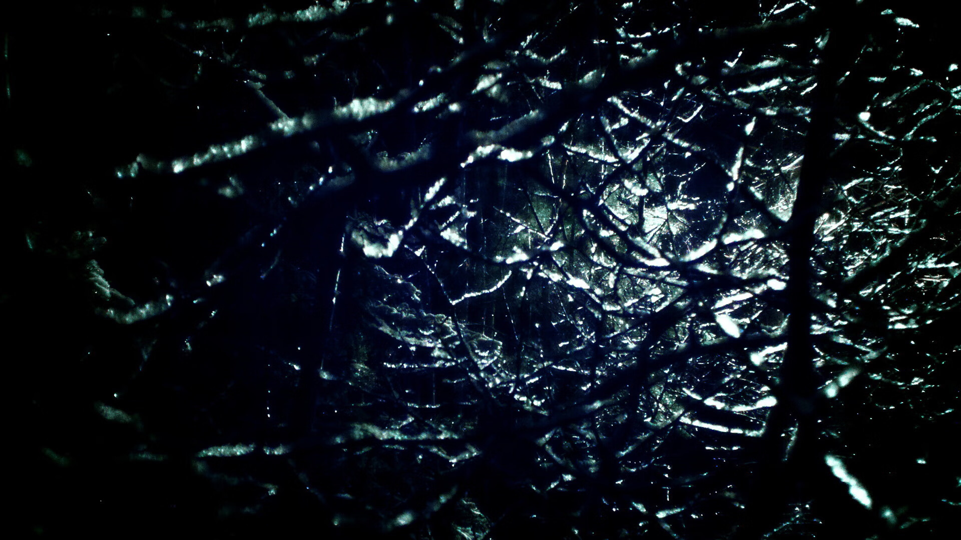 九游jiuyou-青少年球员数据档案管理系统上线提升人才评估科学性，青少年球员转会规定